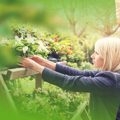 pflanzenregal bubblenavibild